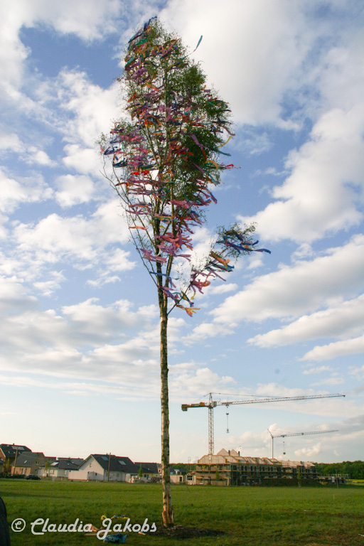 150430183221 IMG 9043