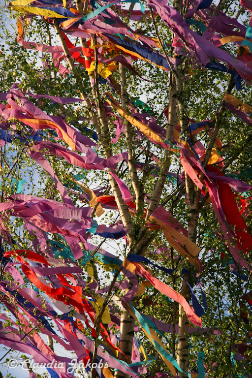 150430184827 IMG 9048