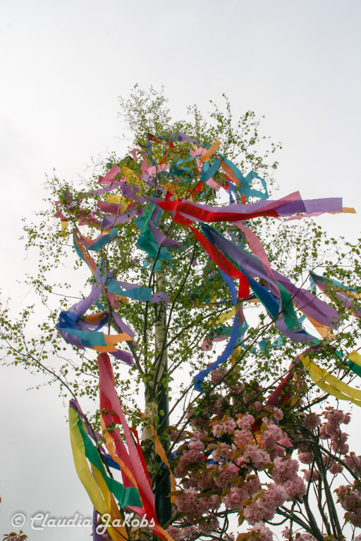 150501090002 IMG 9057