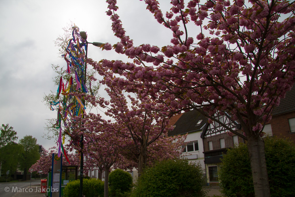 150501090024 MJ  3590