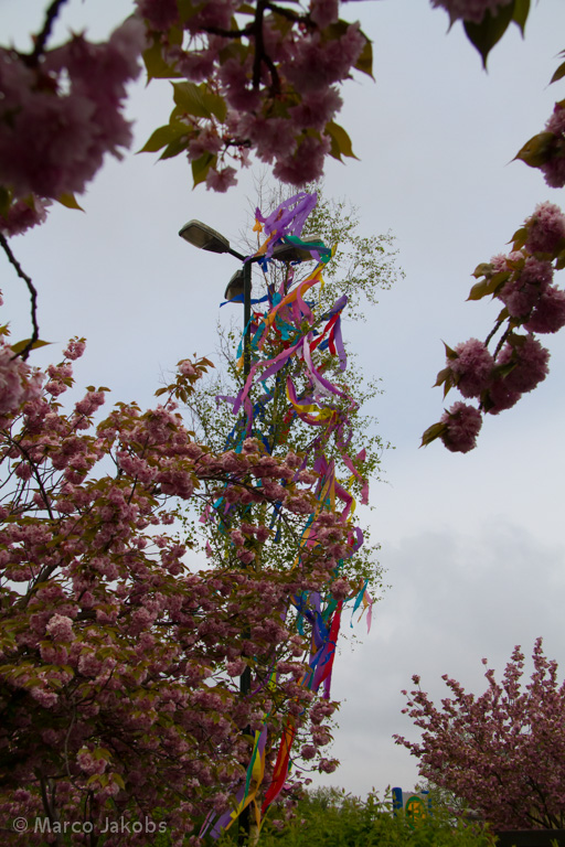 150501090115 MJ  3592