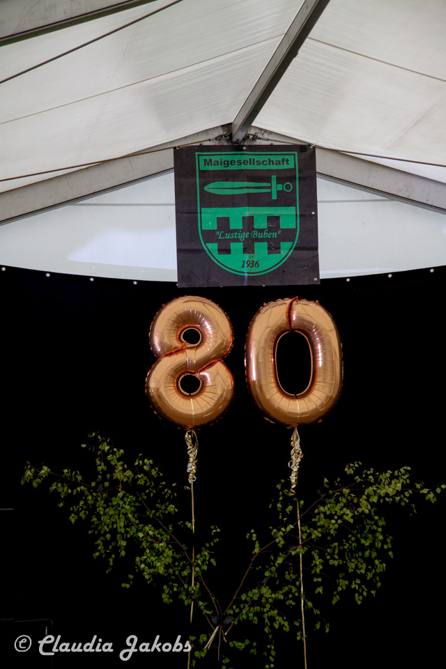 20160430160811 IMG 0278