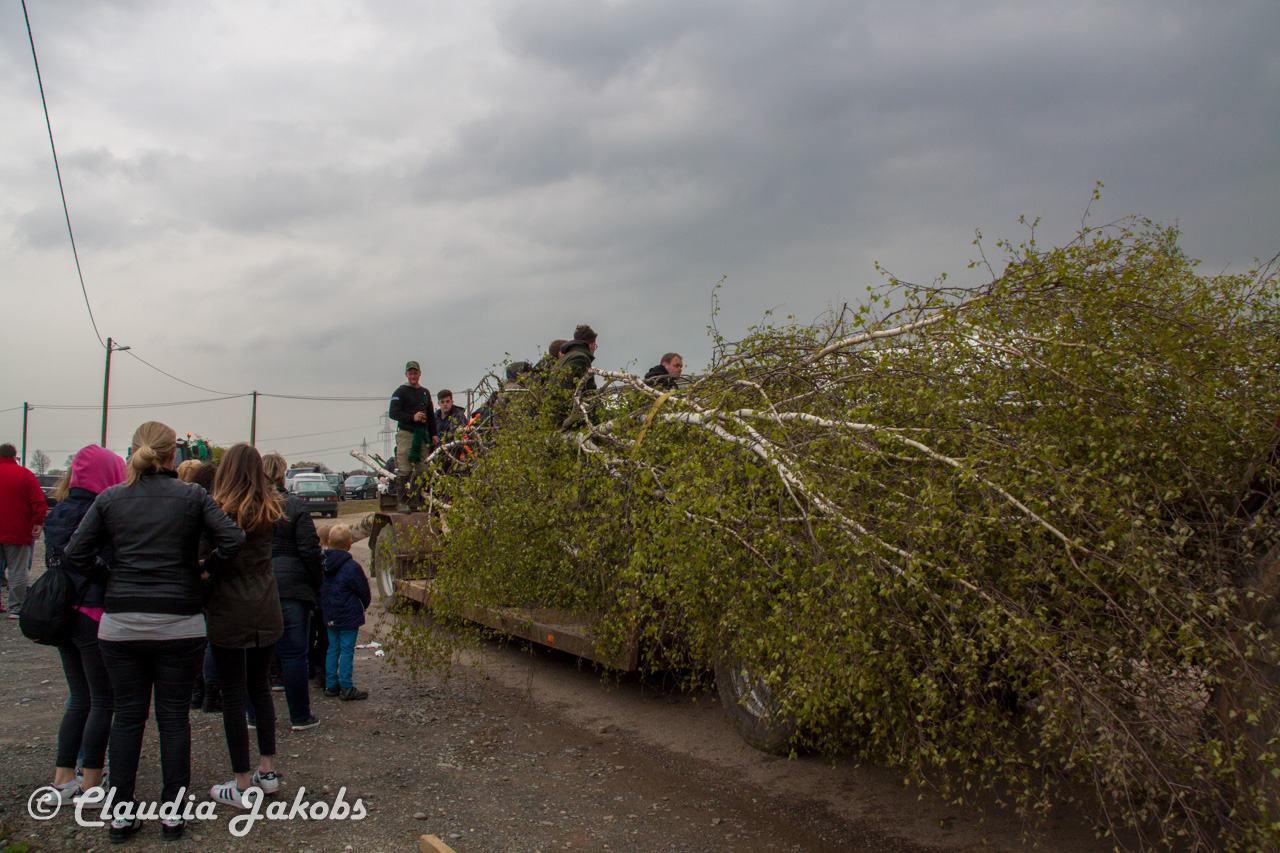 20160430164709 IMG 0305