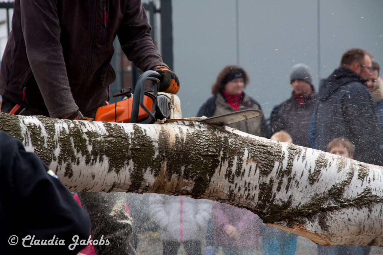 20160430165155 IMG 0328