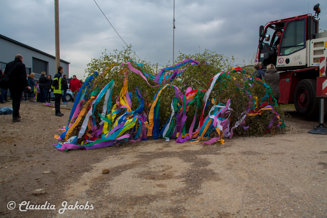 20160430171436 IMG 0392