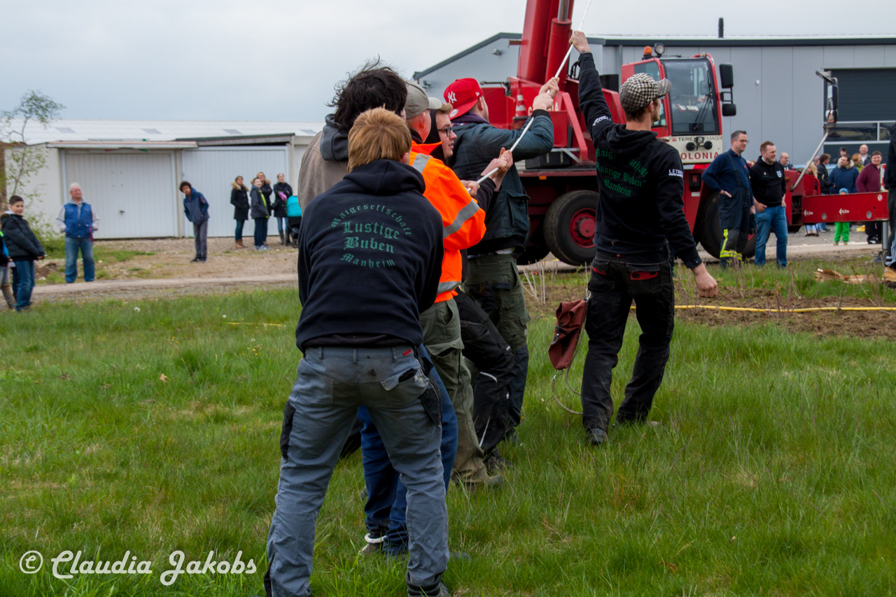 20160430172143 IMG 0432