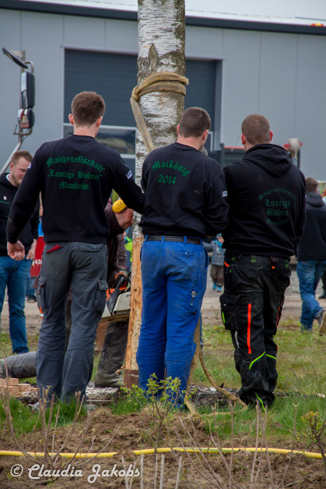 20160430172234 IMG 0437