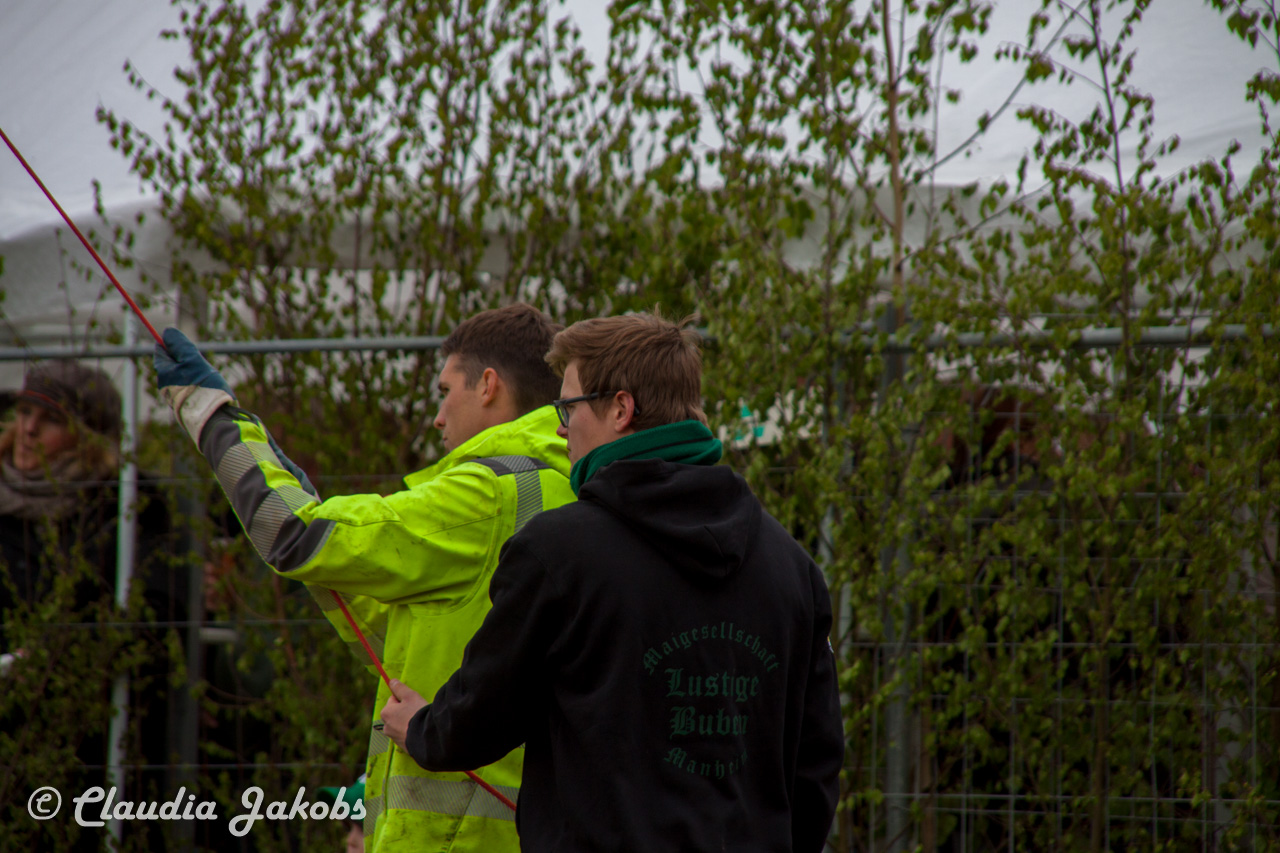 20160430172252 IMG 0438