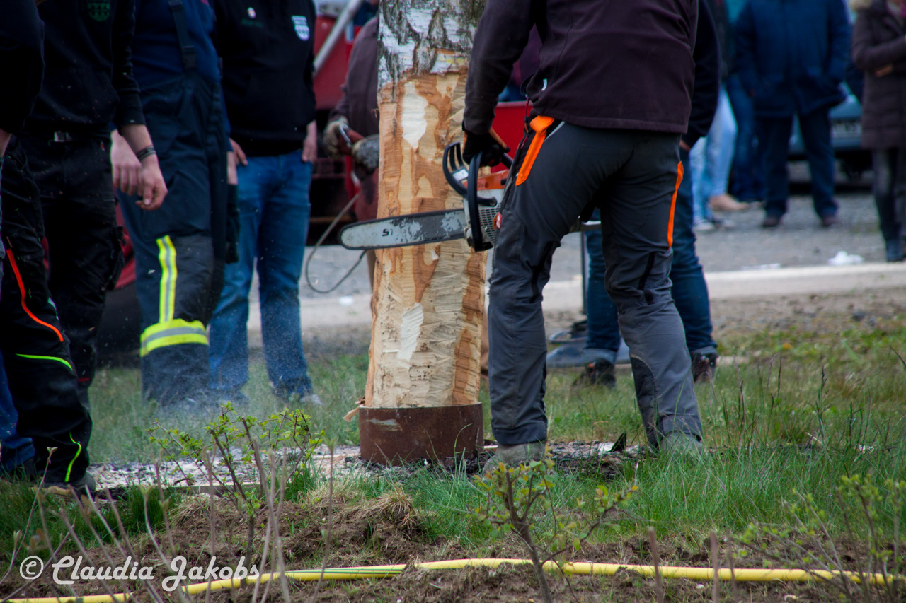 20160430172338 IMG 0444