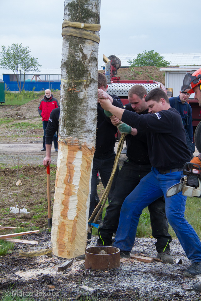 20160430172538 MJ  4398