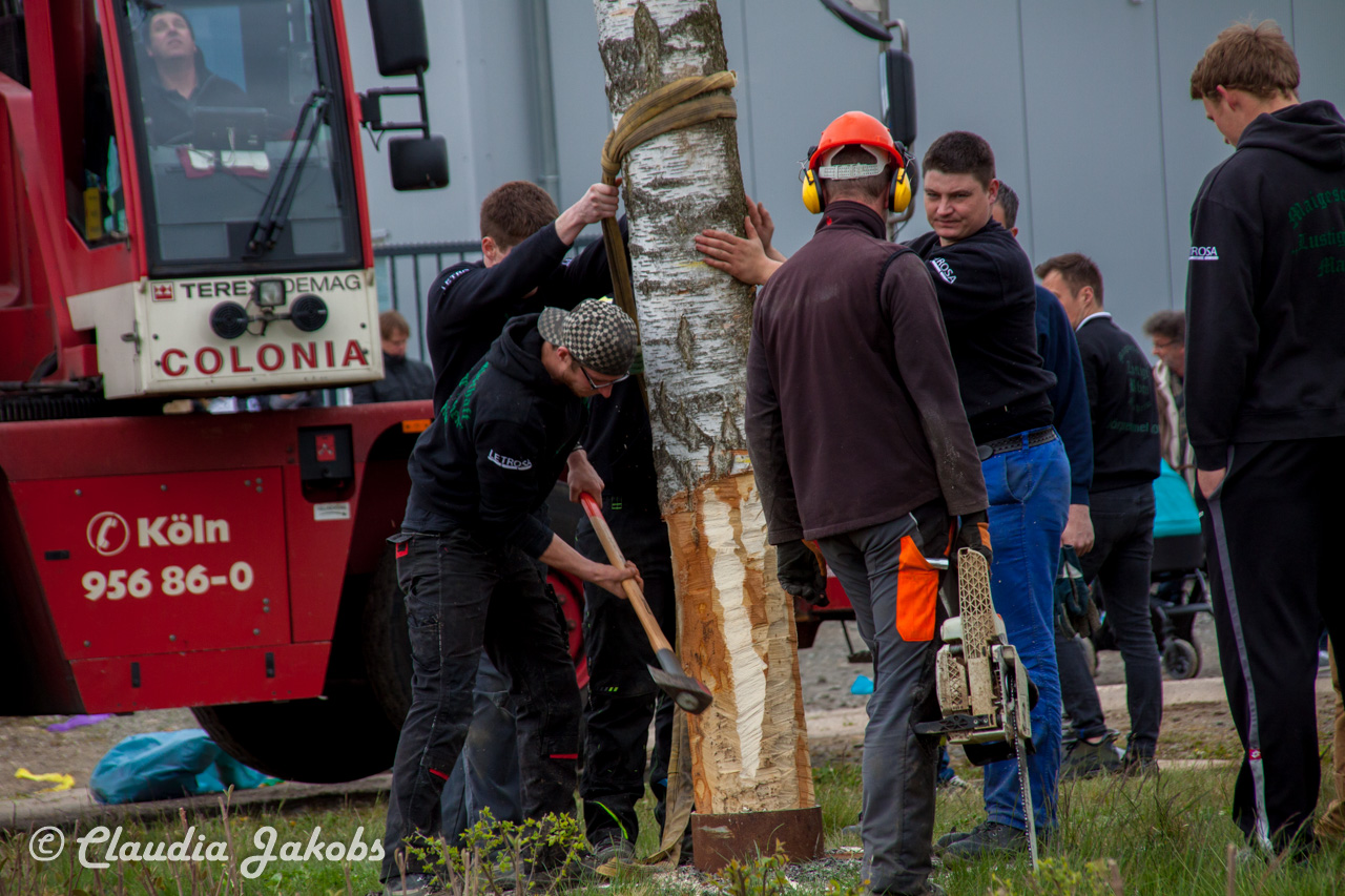 20160430172706 IMG 0458