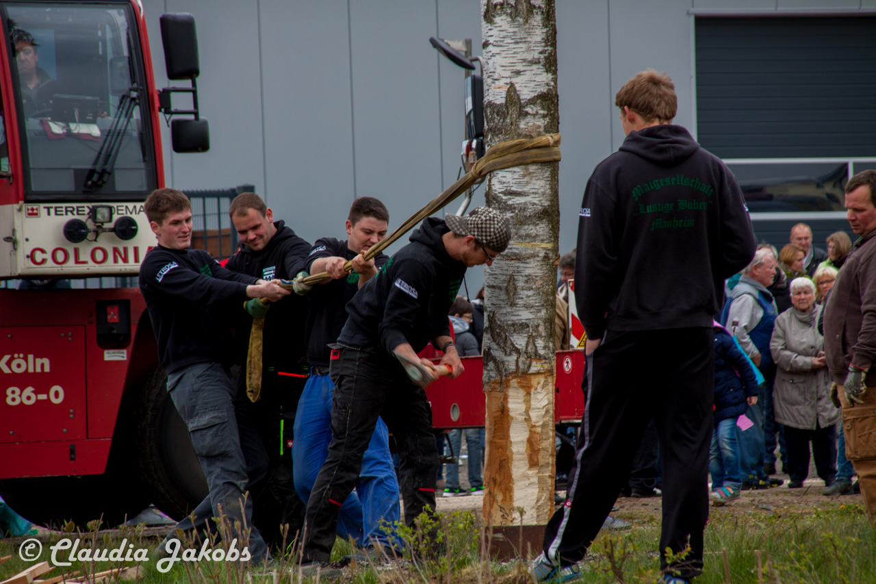 20160430172958 IMG 0467