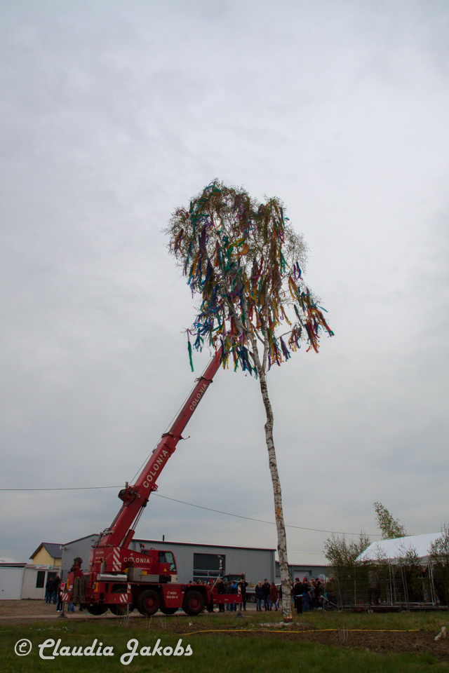 20160430173958 IMG 0490