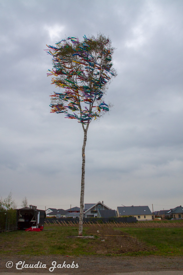 20160430181640 IMG 0497