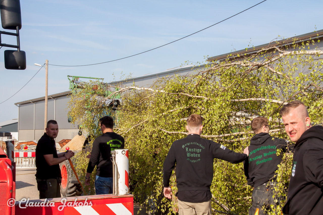 20170430174842 IMG 5809