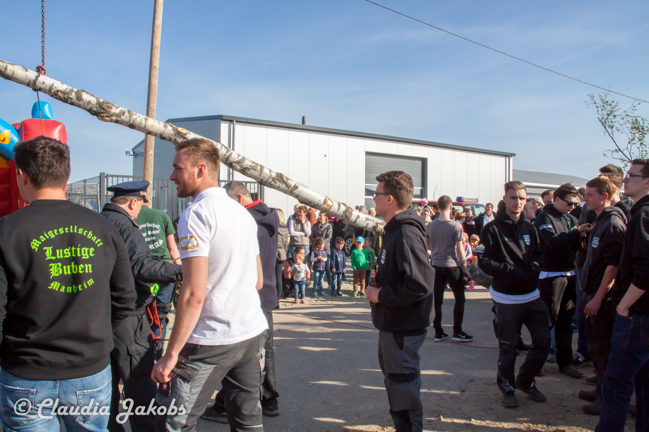 20170430175405 IMG 5830