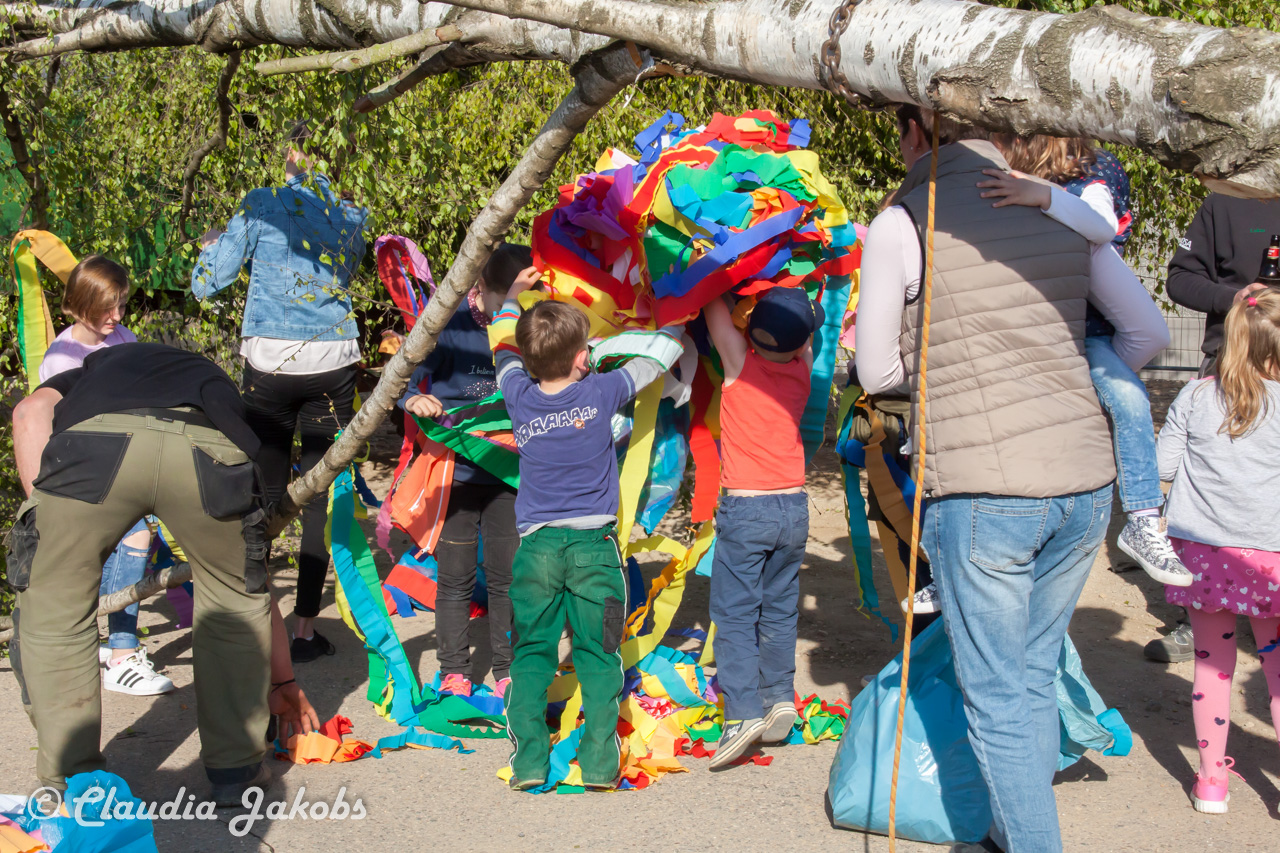 20170430175650 IMG 5840