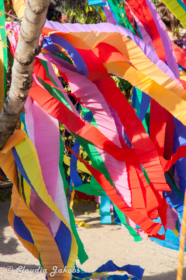 20170430175955 IMG 5851