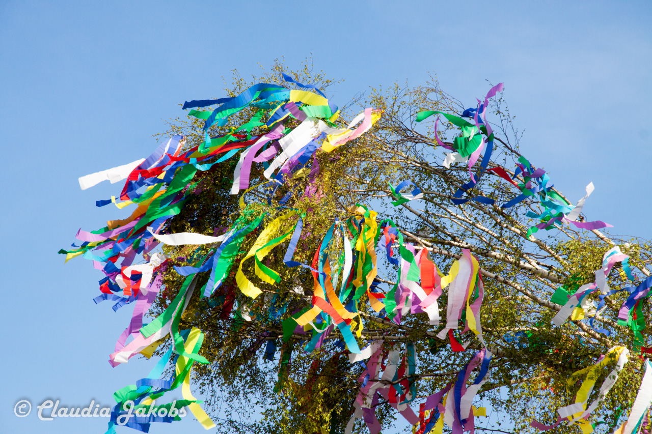 20170430181446 IMG 5872