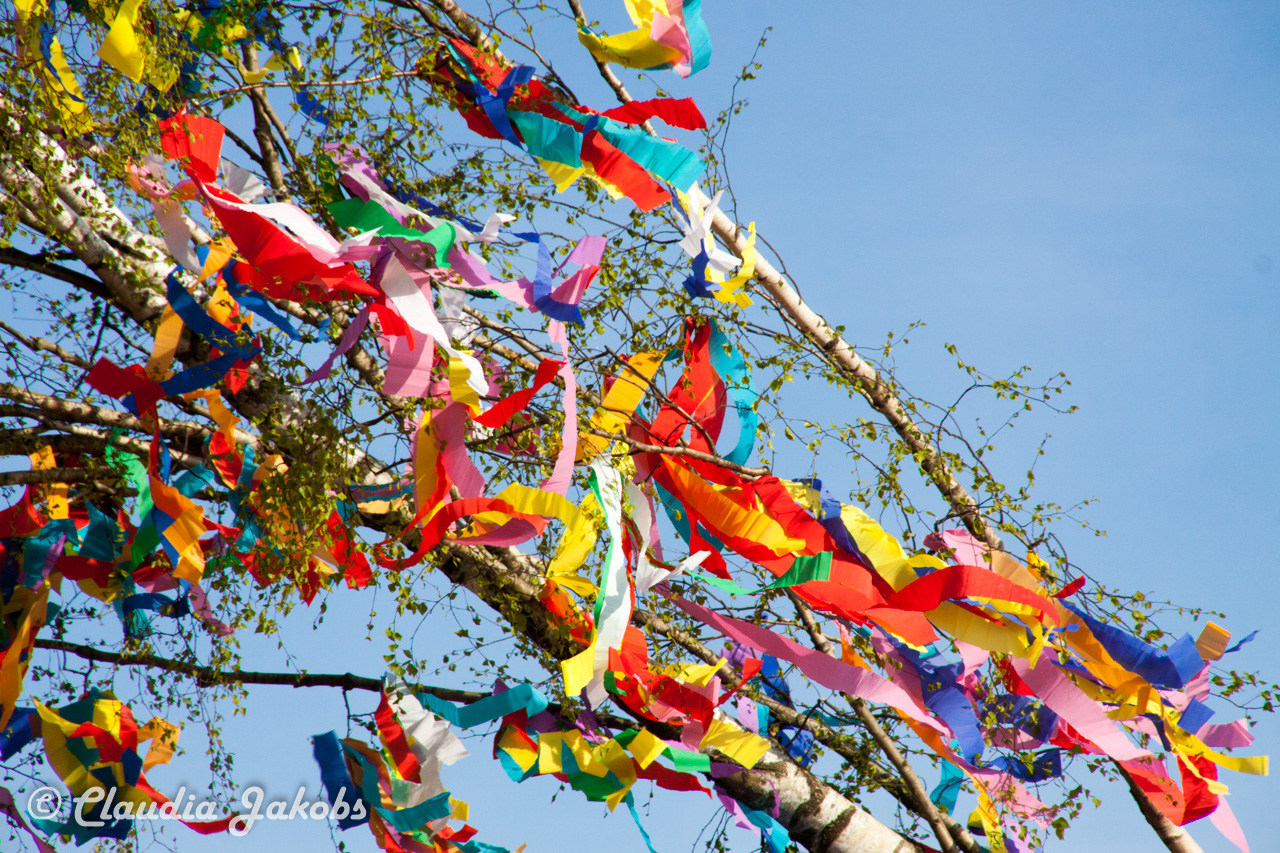 20170430181450 IMG 5873