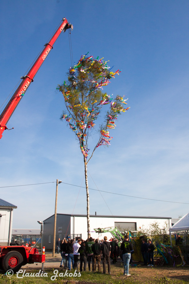 20170430181522 IMG 5878