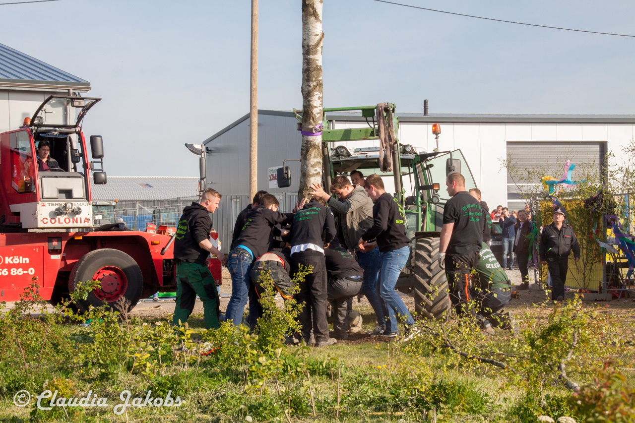 20170430181738 IMG 5902