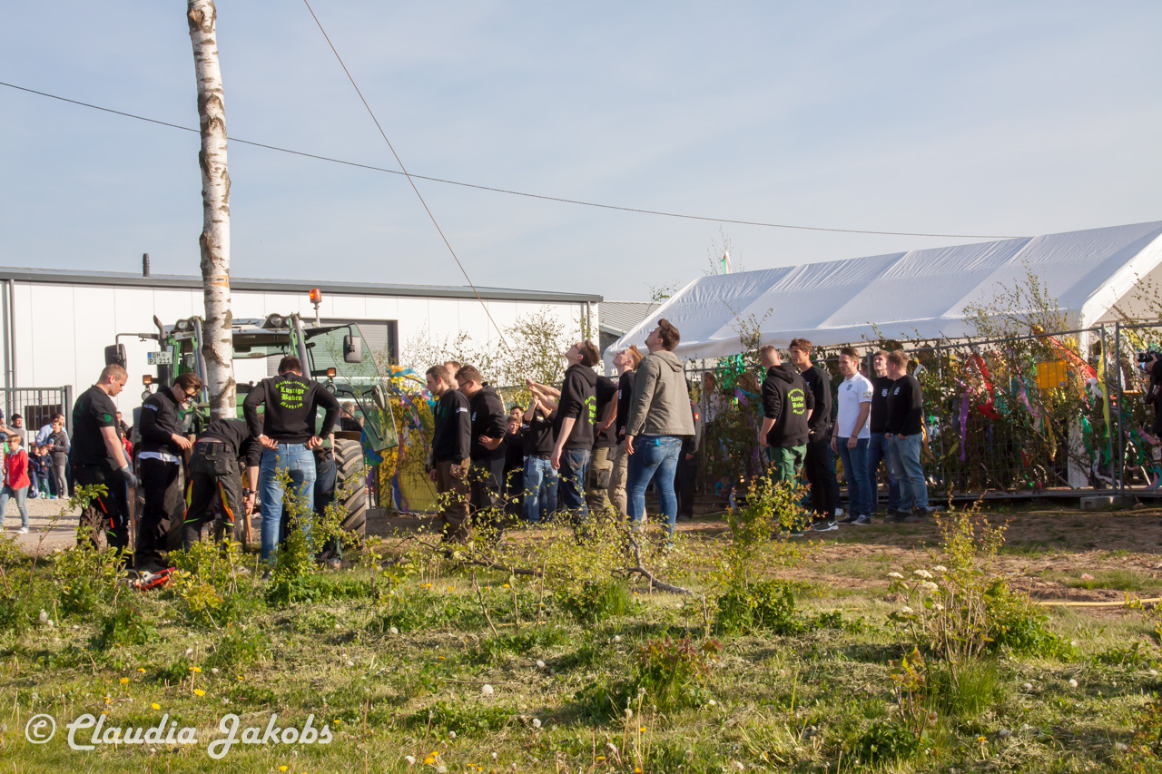 20170430181851 IMG 5913