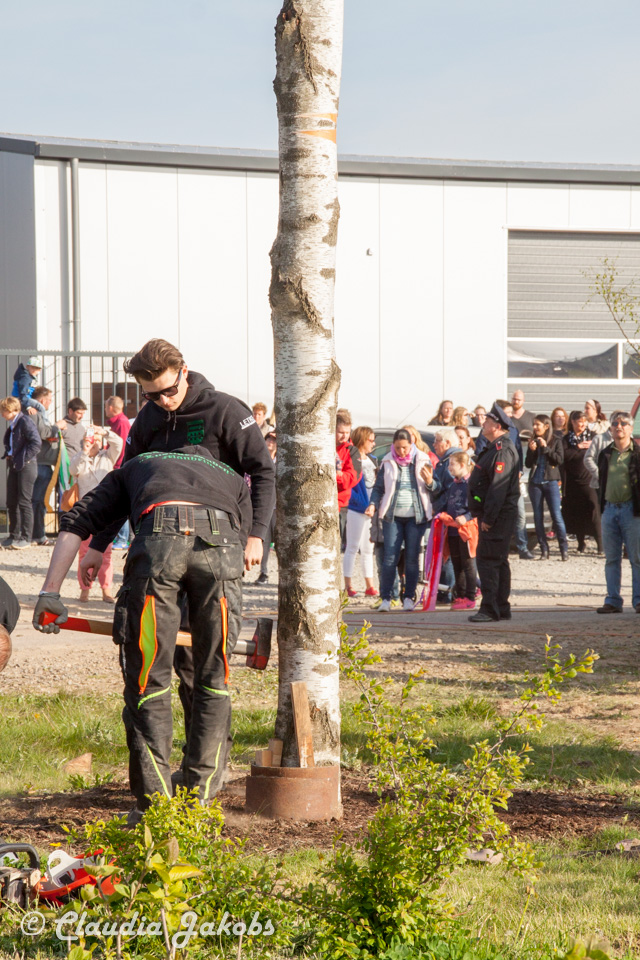 20170430181941 IMG 5919