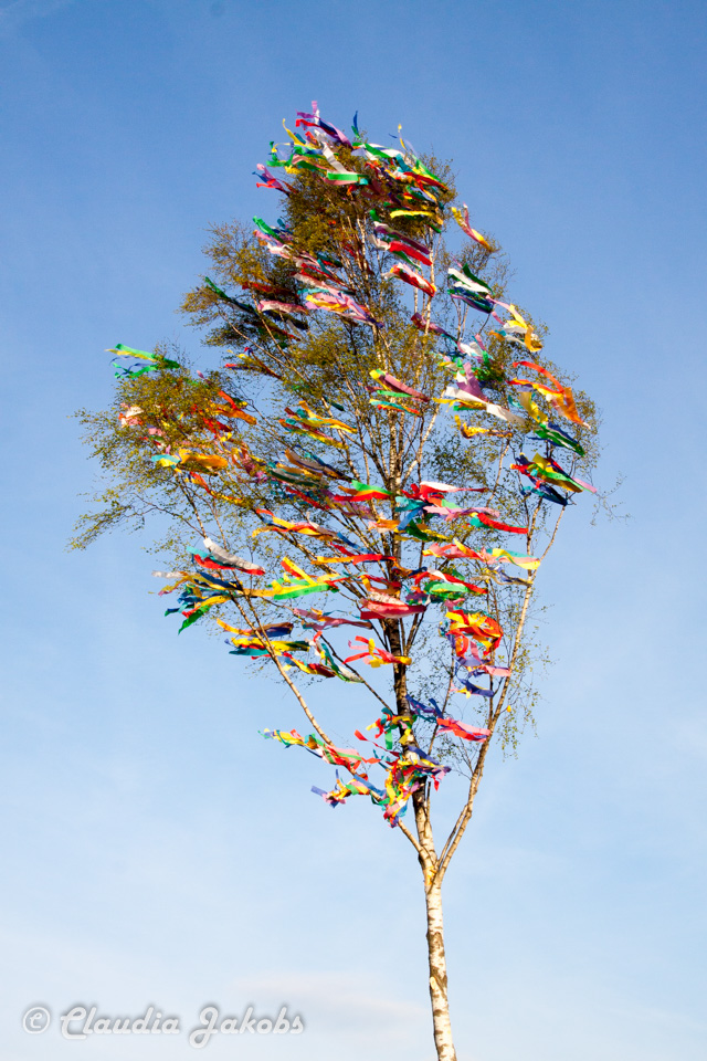 20170430192550 IMG 5973