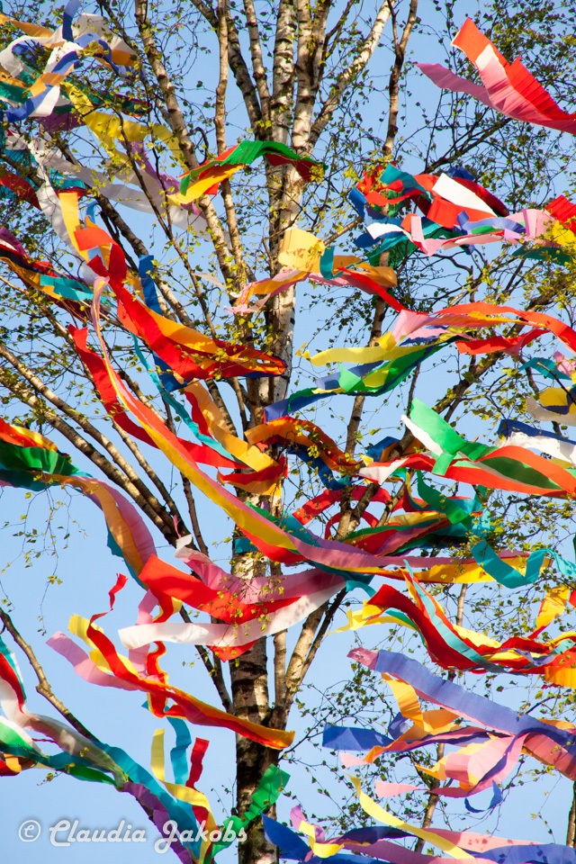 20170430192555 IMG 5974