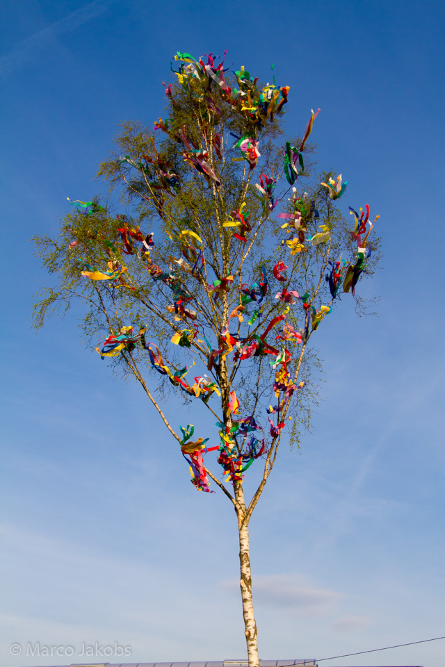 20170430192559 MJ  5658