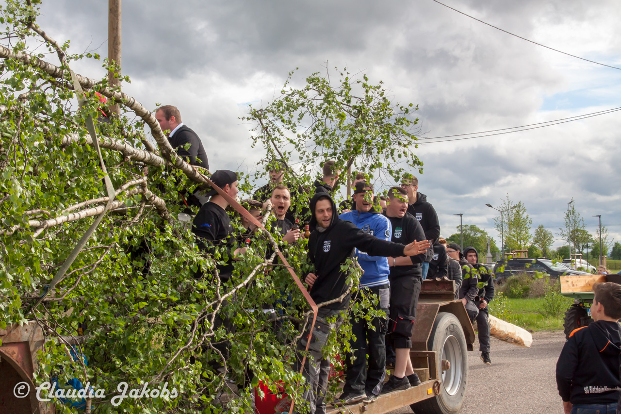 20180430175503 IMG 0811