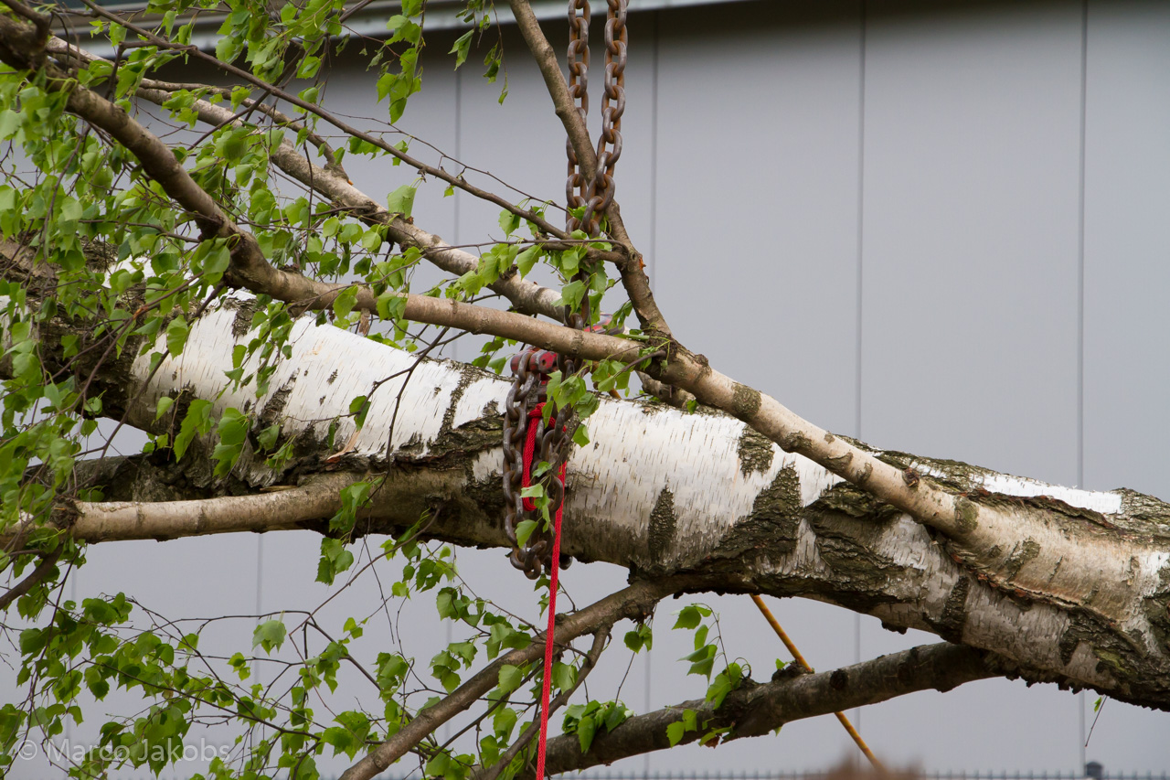 20180430180432 MJ  6192