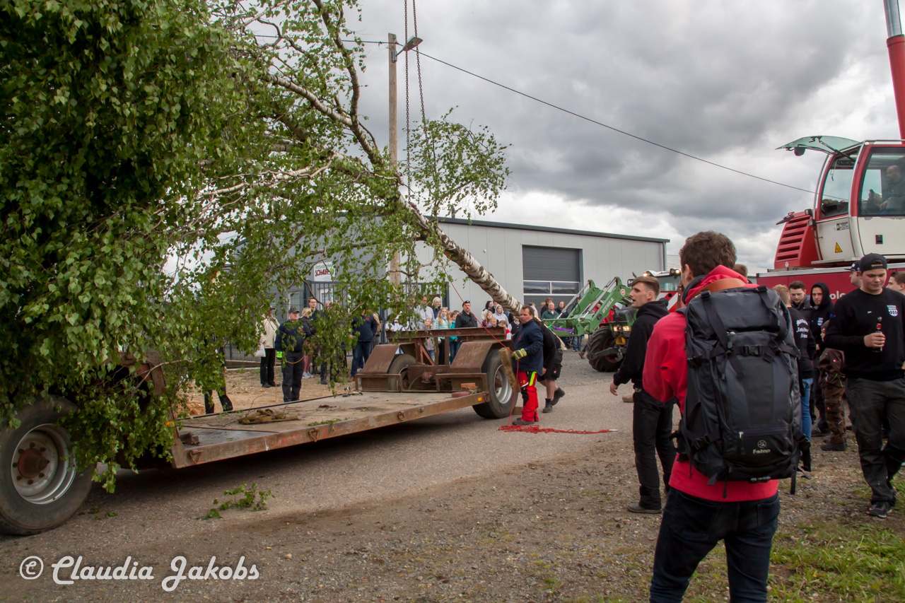 20180430180437 IMG 0864