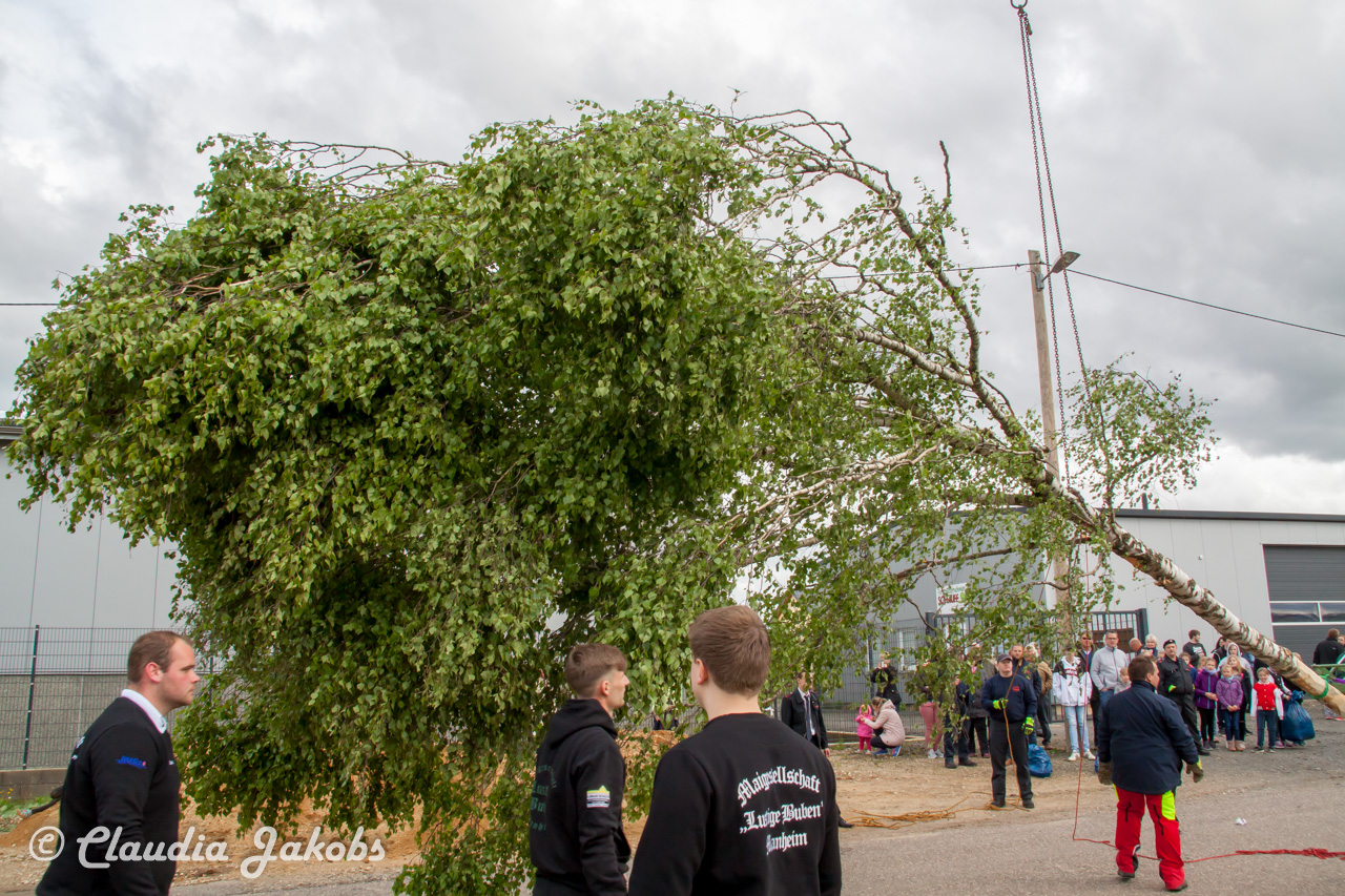 20180430180525 IMG 0875