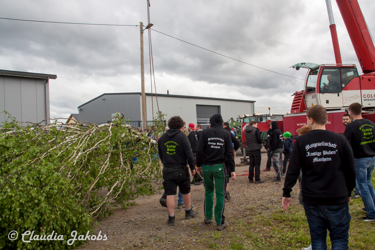 20180430180538 IMG 0877