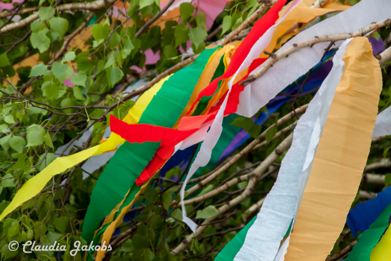 20180430181138 IMG 0904