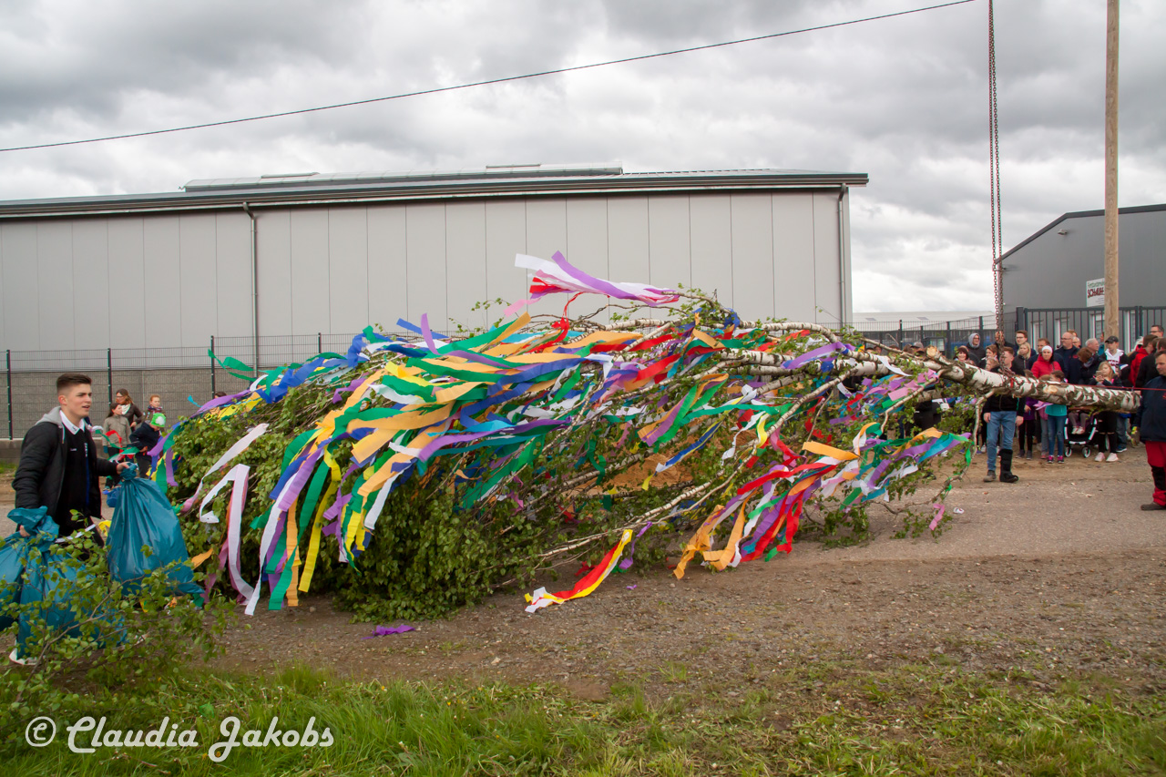 20180430181833 IMG 0918