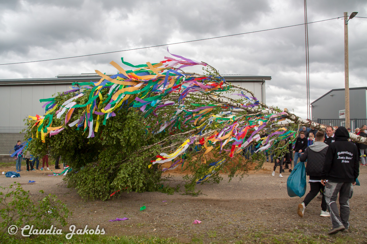 20180430181840 IMG 0919