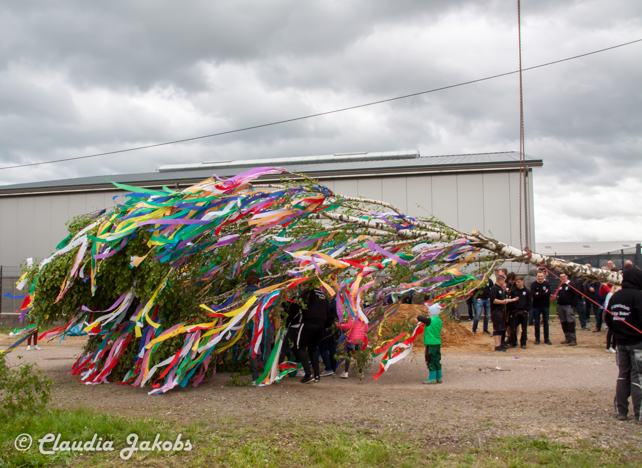 20180430182443 IMG 0937