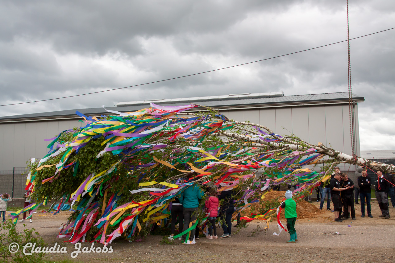 20180430182447 IMG 0938