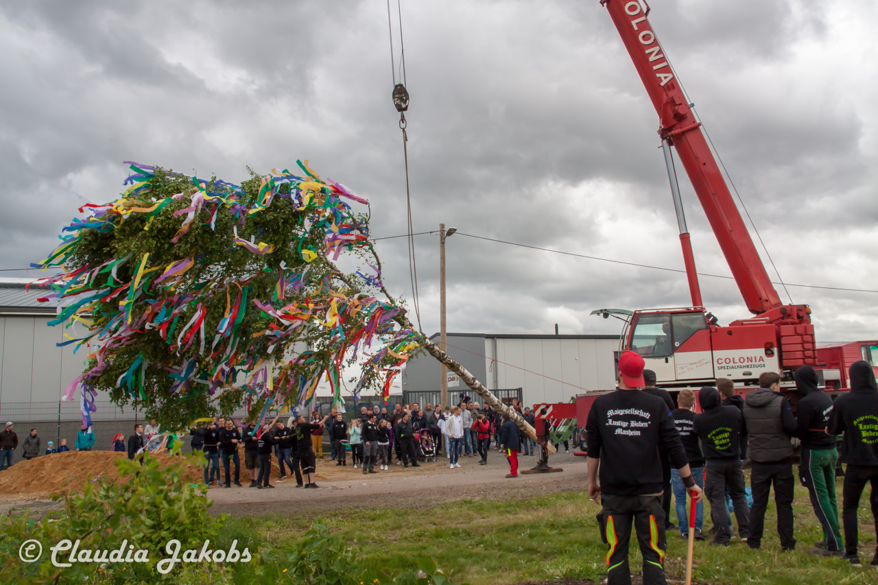 20180430182723 IMG 0945