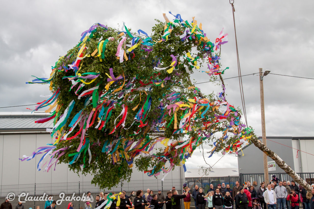 20180430182725 IMG 0946