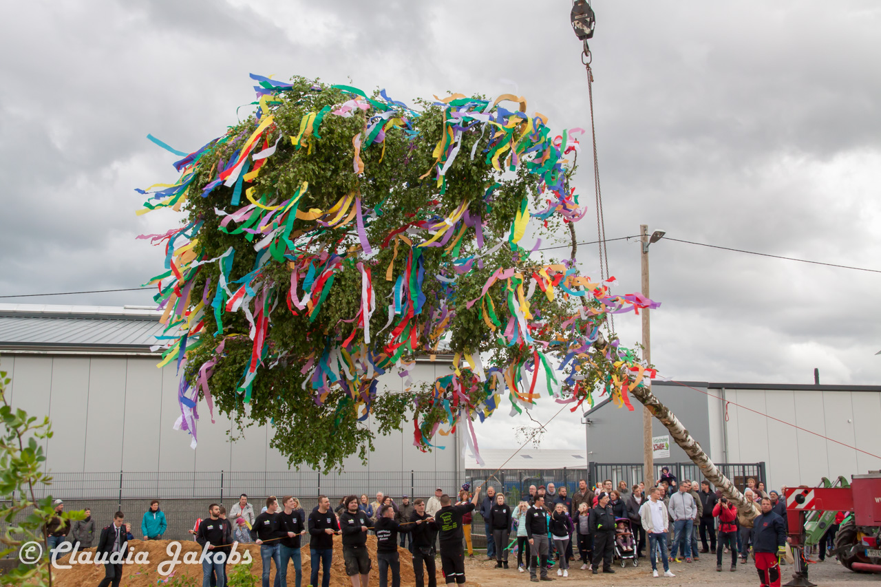 20180430182727 IMG 0947