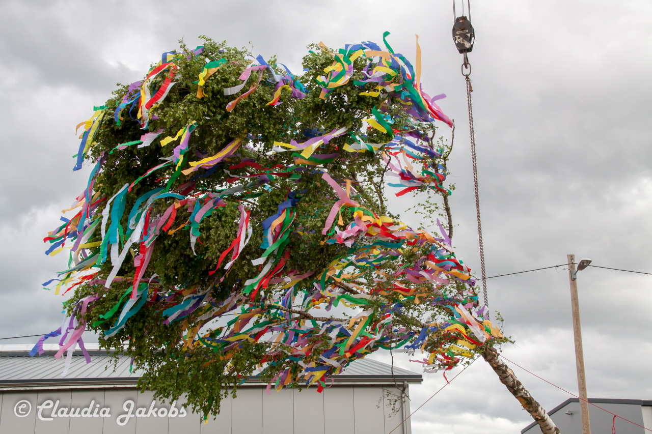 20180430182739 IMG 0950