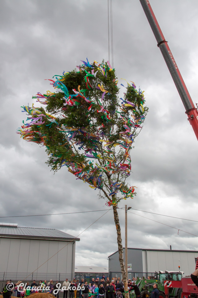 20180430182756 IMG 0953