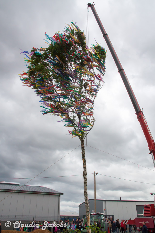 20180430182835 IMG 0961