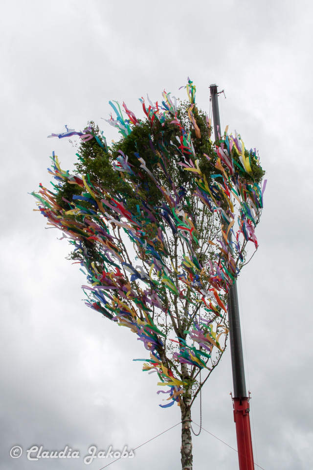 20180430182904 IMG 0967