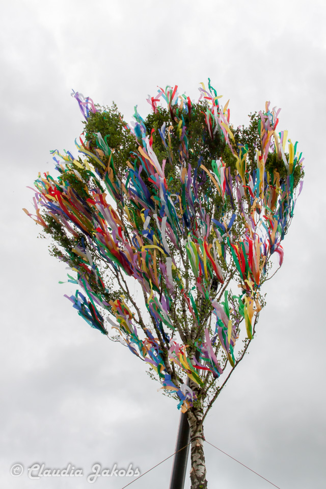 20180430183009 IMG 0970