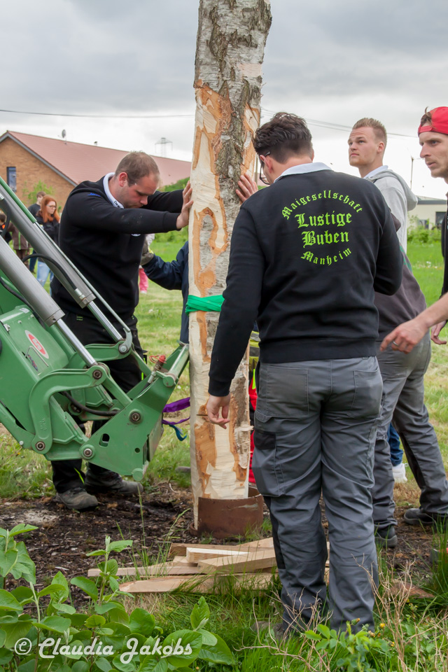 20180430183033 IMG 0974